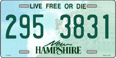 NH license plate 2953831