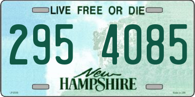 NH license plate 2954085