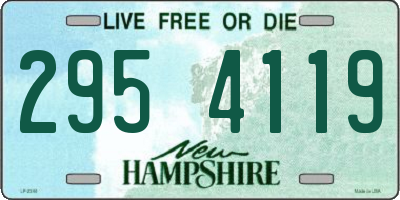 NH license plate 2954119
