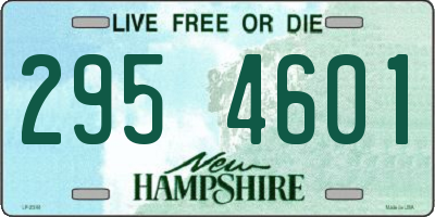NH license plate 2954601