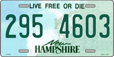 NH license plate 2954603