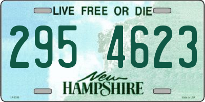 NH license plate 2954623