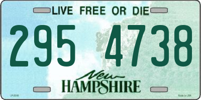 NH license plate 2954738