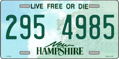 NH license plate 2954985