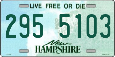 NH license plate 2955103