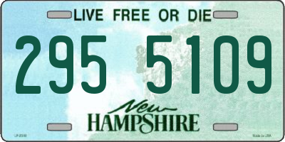 NH license plate 2955109