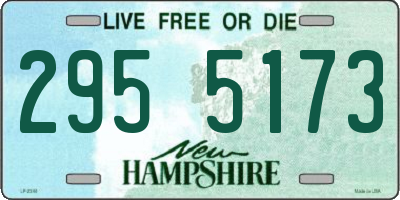 NH license plate 2955173