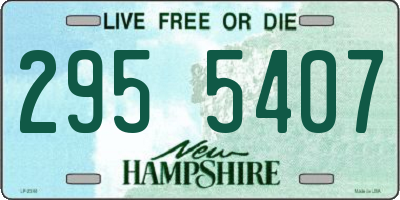 NH license plate 2955407