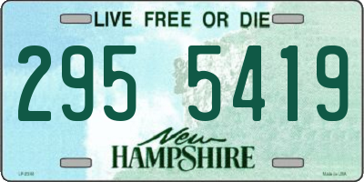 NH license plate 2955419