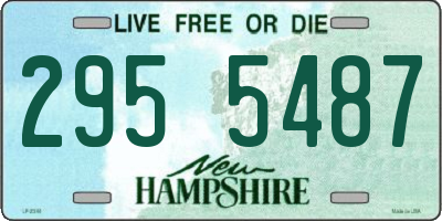 NH license plate 2955487