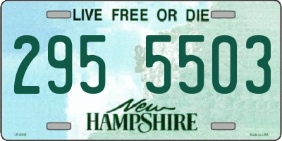 NH license plate 2955503