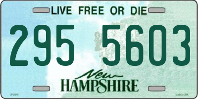 NH license plate 2955603