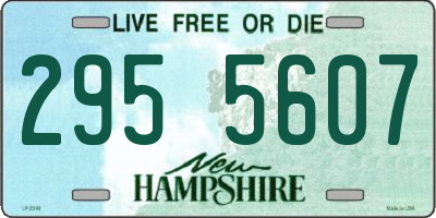 NH license plate 2955607