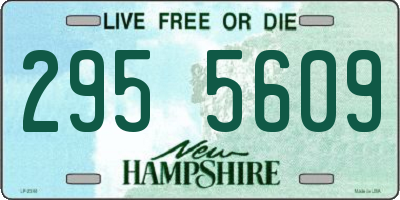 NH license plate 2955609