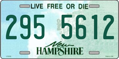 NH license plate 2955612