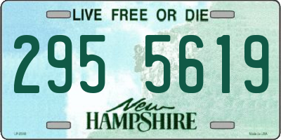 NH license plate 2955619