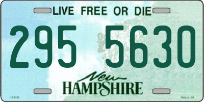 NH license plate 2955630