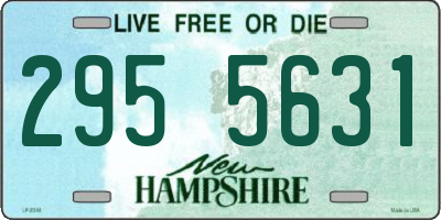 NH license plate 2955631