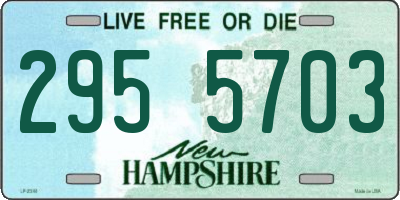 NH license plate 2955703