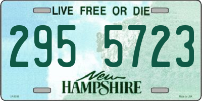 NH license plate 2955723