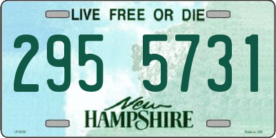 NH license plate 2955731