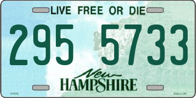 NH license plate 2955733