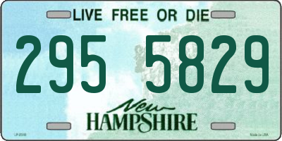 NH license plate 2955829
