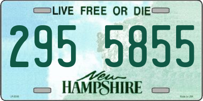 NH license plate 2955855