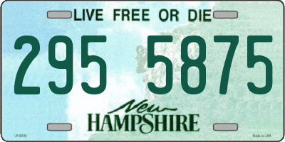 NH license plate 2955875