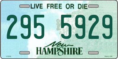 NH license plate 2955929