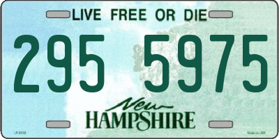 NH license plate 2955975