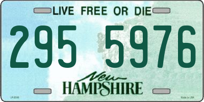 NH license plate 2955976