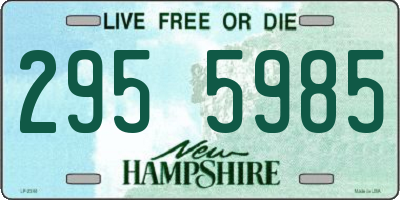 NH license plate 2955985