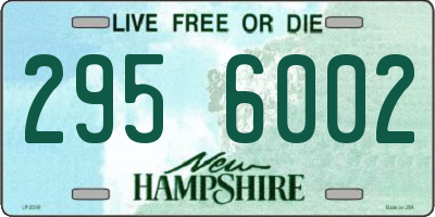 NH license plate 2956002