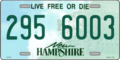 NH license plate 2956003