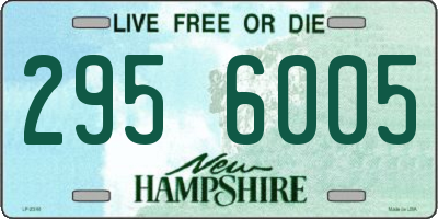 NH license plate 2956005