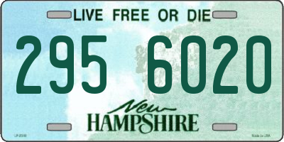 NH license plate 2956020
