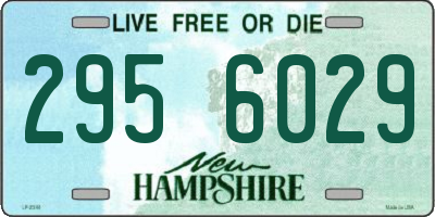 NH license plate 2956029