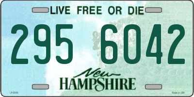 NH license plate 2956042