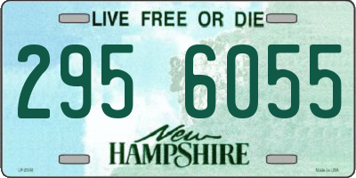 NH license plate 2956055