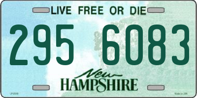 NH license plate 2956083