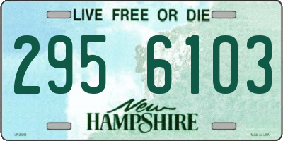 NH license plate 2956103