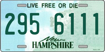 NH license plate 2956111