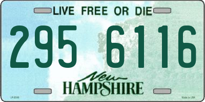 NH license plate 2956116