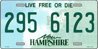 NH license plate 2956123