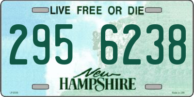 NH license plate 2956238