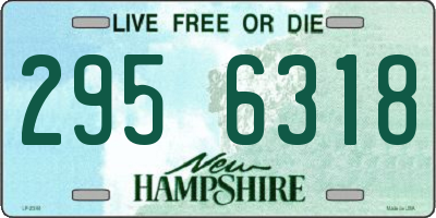 NH license plate 2956318