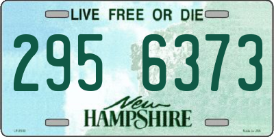 NH license plate 2956373