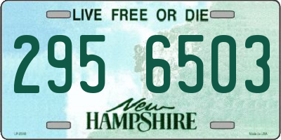NH license plate 2956503