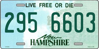 NH license plate 2956603